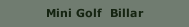 Mini Golf  Billar