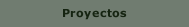 Proyectos